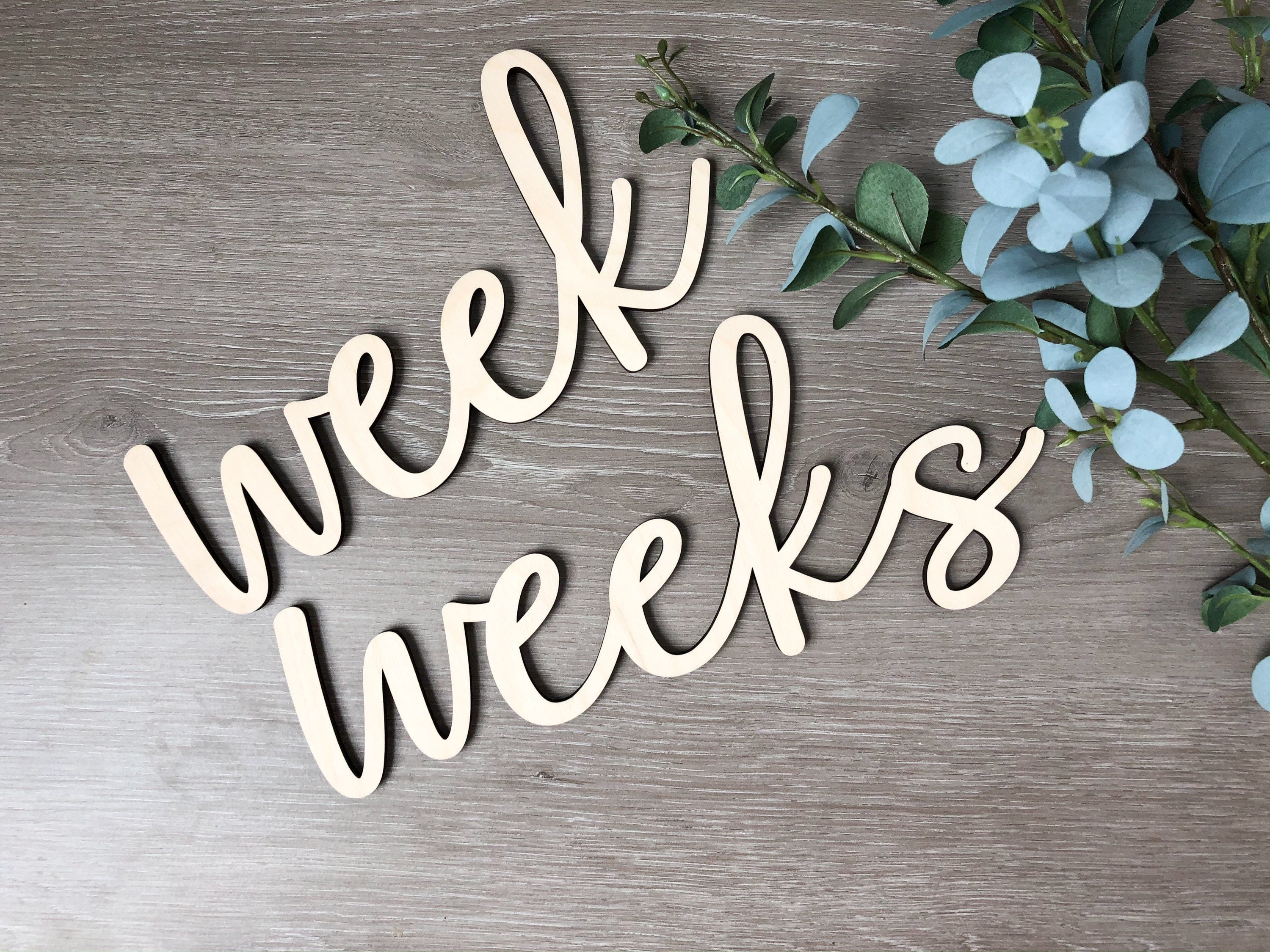 Monthly Milestone Prop | Photo Prop | Wood Photo Prop | Baby Milestone Markers | Wood Milestone photo | Baby Gear | 3D baby Cutout | Nursery