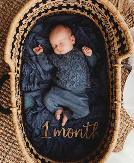 Monthly Milestone Prop | Photo Prop | Wood Photo Prop | Baby Milestone Markers | Wood Milestone photo | Baby Gear | 3D baby Cutout | Nursery