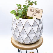 Herb Markers | Funny Herb Garden | Plant Markers | Mothers Day | Garden Decor | Herb Stake | Plant Stakes | Plants | Garden Humor | Plants