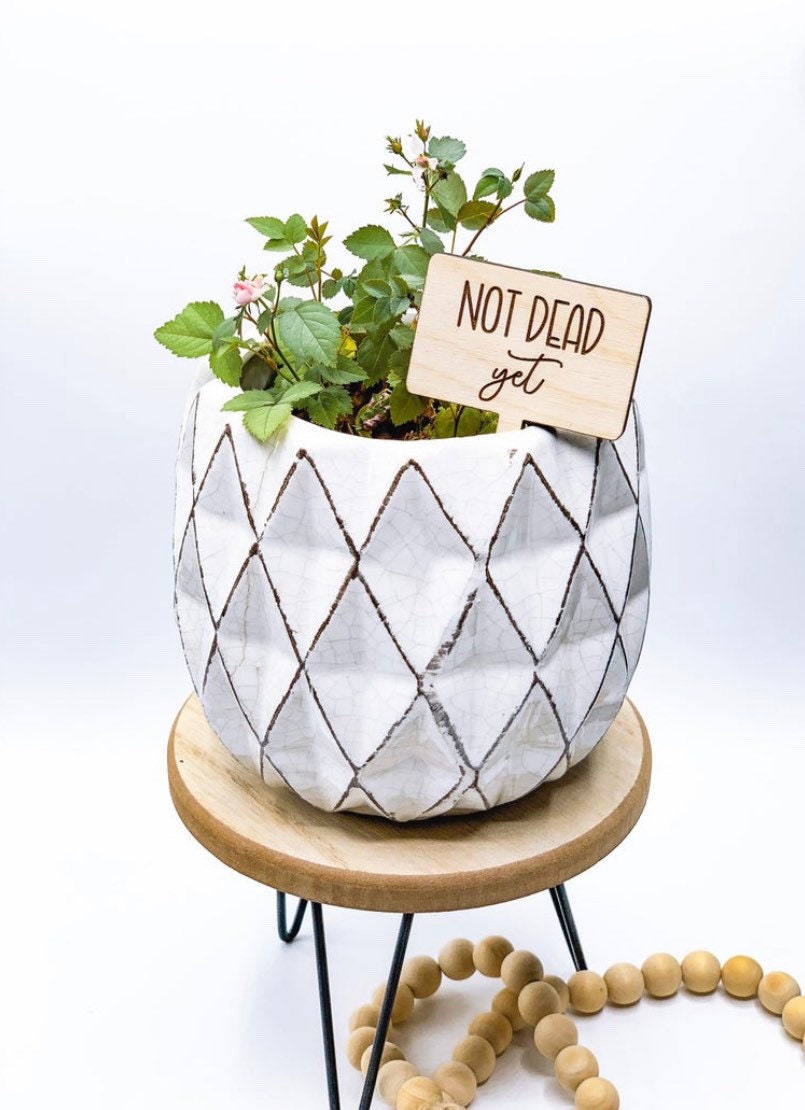 Herb Markers | Funny Herb Garden | Plant Markers | Mothers Day | Garden Decor | Herb Stake | Plant Stakes | Plants | Garden Humor | Plants