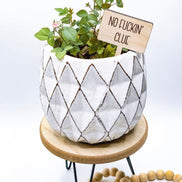 Herb Markers | Funny Herb Garden | Plant Markers | Mothers Day | Garden Decor | Herb Stake | Plant Stakes | Plants | Garden Humor | Plants