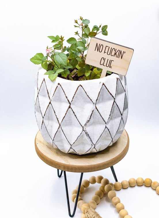 No Fuckin' Clue wooden plant marker in a leafy plant in a patterned pot.