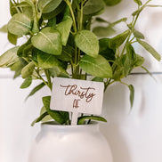 Herb Markers | Funny Herb Garden | Plant Markers | Mothers Day | Garden Decor | Herb Stake | Plant Stakes | Plants | Garden Humor | Plants