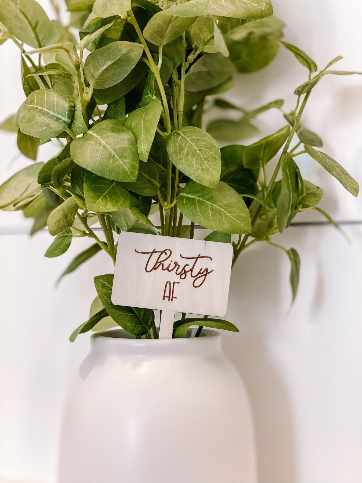 Herb Markers | Funny Herb Garden | Plant Markers | Mothers Day | Garden Decor | Herb Stake | Plant Stakes | Plants | Garden Humor | Plants