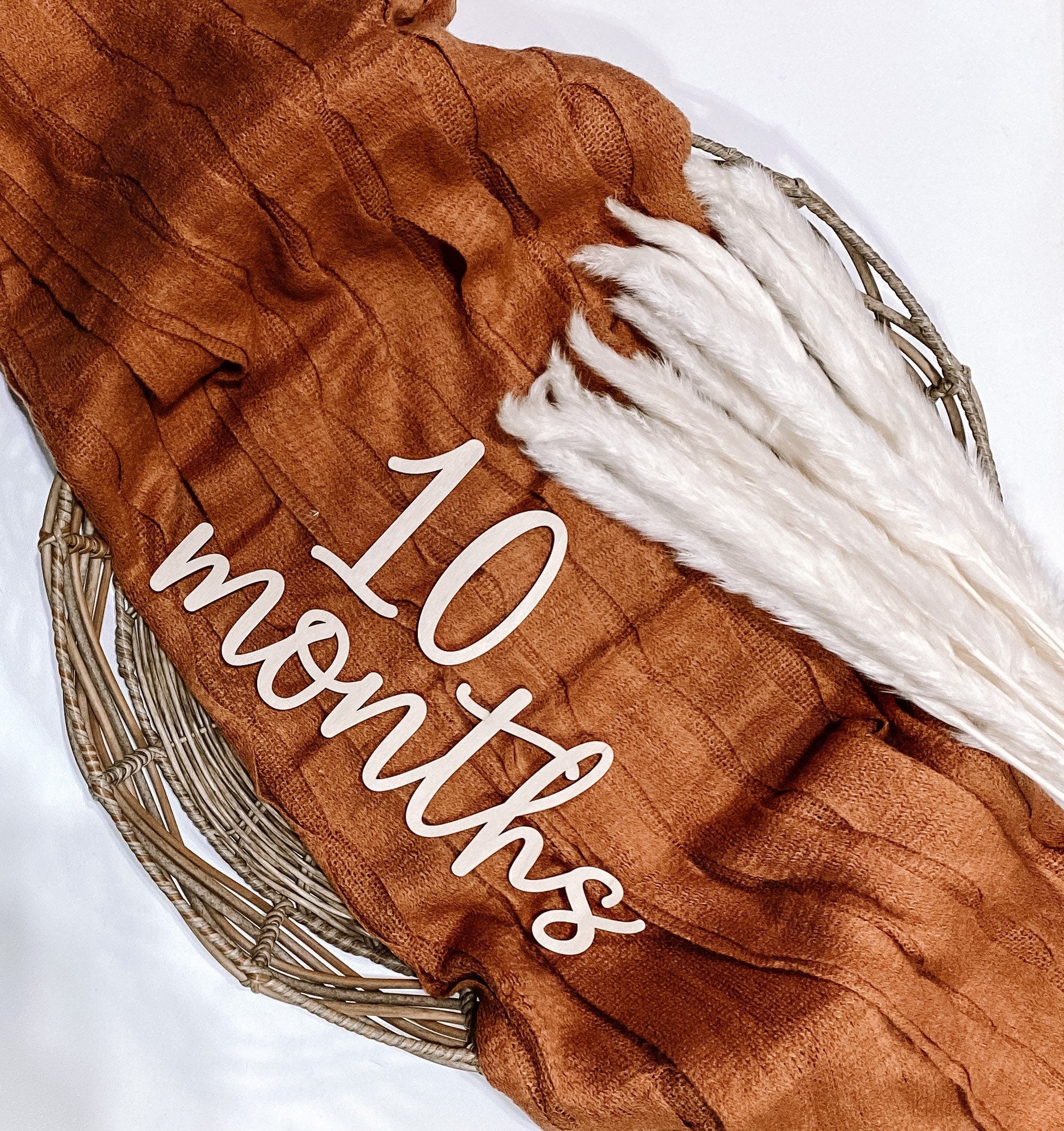 Monthly Milestone Prop | Photo Prop | Wood Photo Prop | Baby Milestone Markers | Wood Milestone photo | Baby Gear | 3D baby Cutout | Nursery