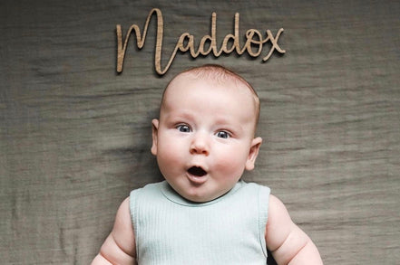 Monthly Milestone Prop | Photo Prop | Wood Photo Prop | Baby Milestone Markers | Wood Milestone photo | Baby Gear | 3D baby Cutout | Nursery