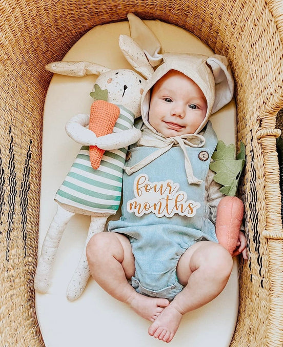 Baby Milestones | Baby Shower Gift | Baby Milestone Photos | New Baby Gift | Nursery | Wooden Baby Milestone Cards | Birth Announcement |