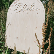 First Birthday Decor | First Birthday Photo Display | Baby Monthly Photos | Photo Prop | Birthday Decor | First Birthday | Boho Birthday |