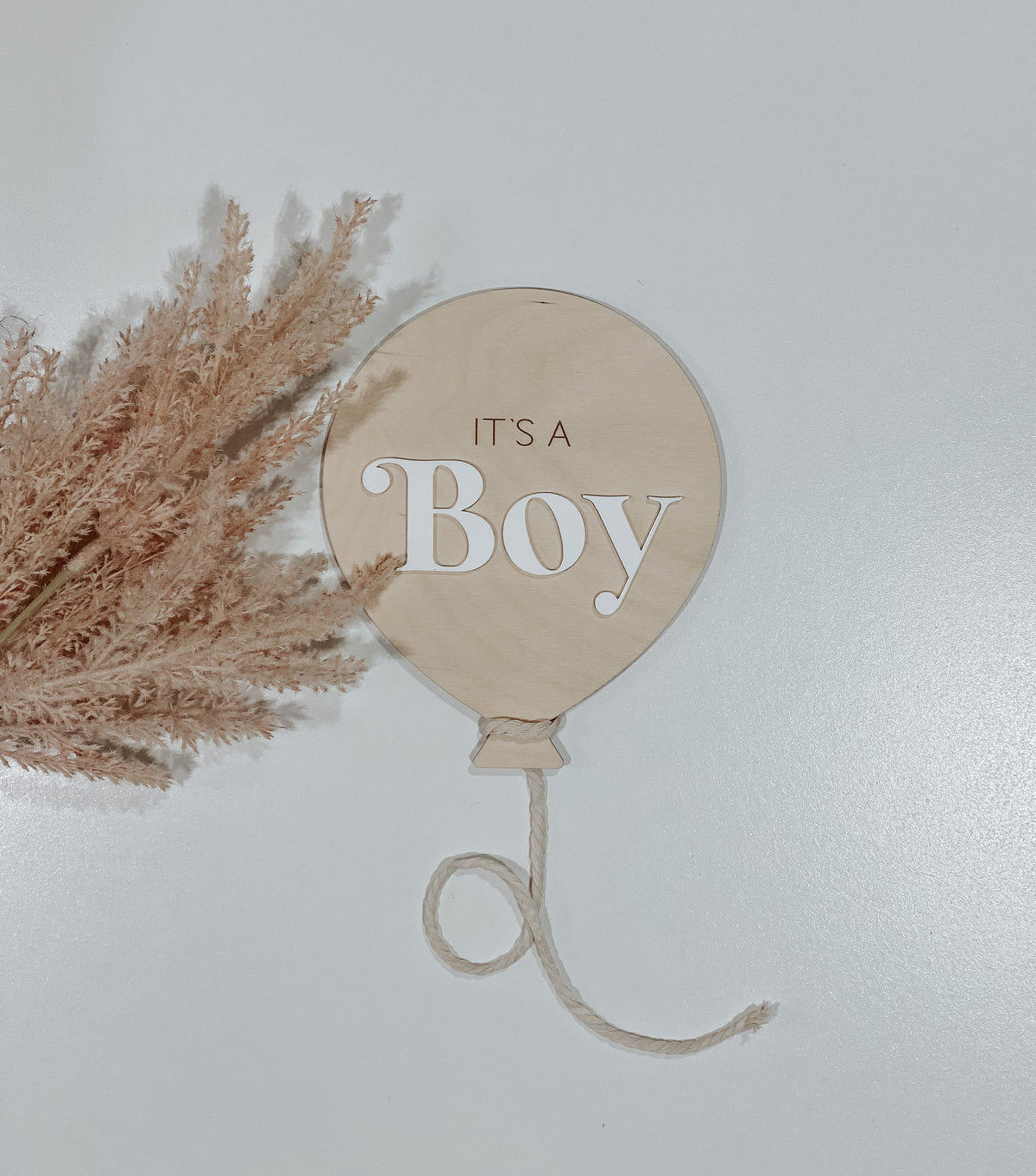 Baby Balloon Birth Announcement | Birth Announcement acrylic Hospital Photo Prop Newborn | Balloon Decor | Name Sign