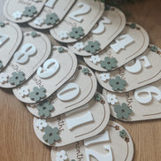 Laser Cut Baby Monthly Milestone Markers  3D Acrylic & Engraved Wooden Ovals | Custom Color Option | Hello World + Months 1-12