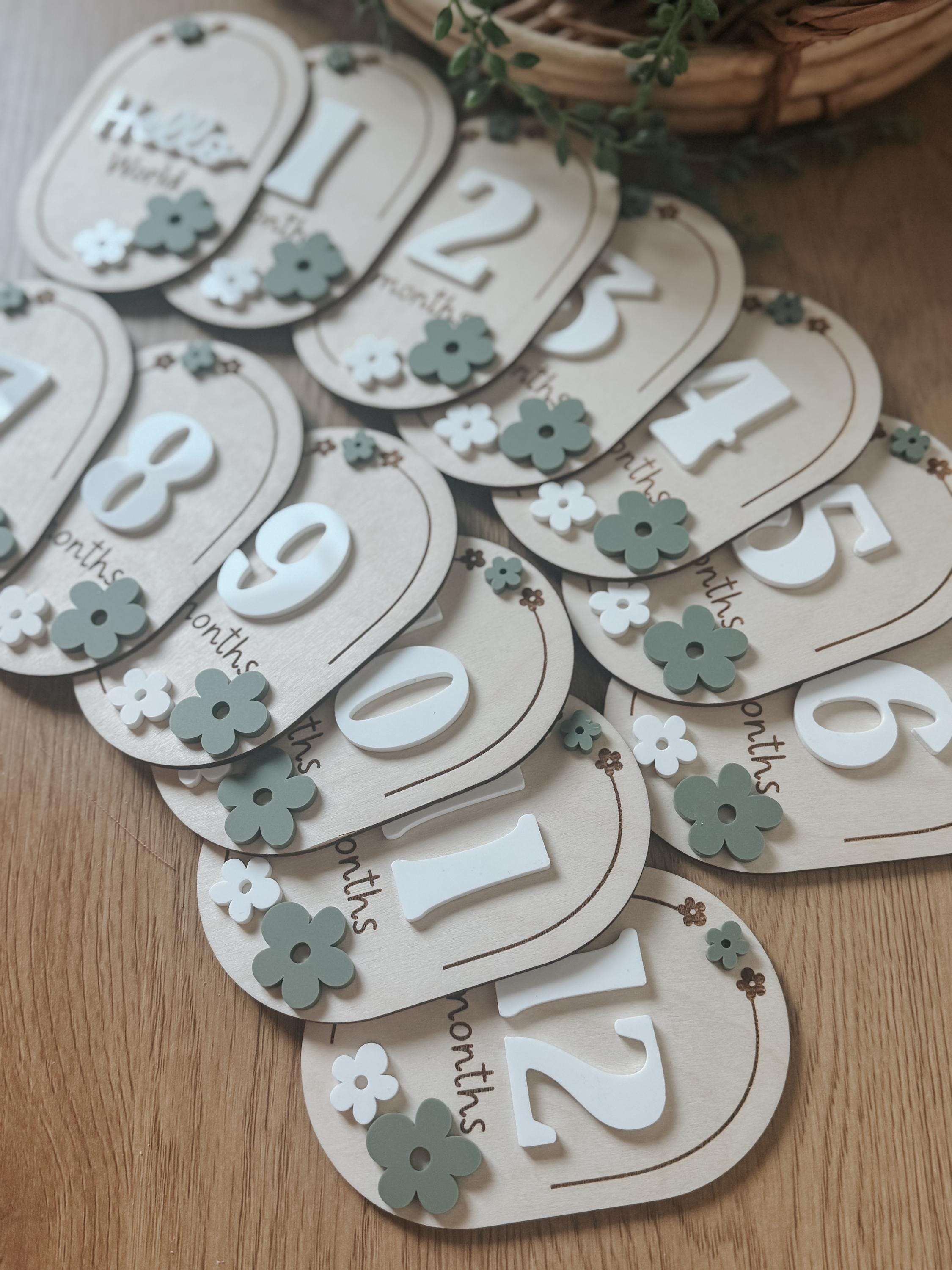Laser Cut Baby Monthly Milestone Markers  3D Acrylic & Engraved Wooden Ovals | Custom Color Option | Hello World + Months 1-12