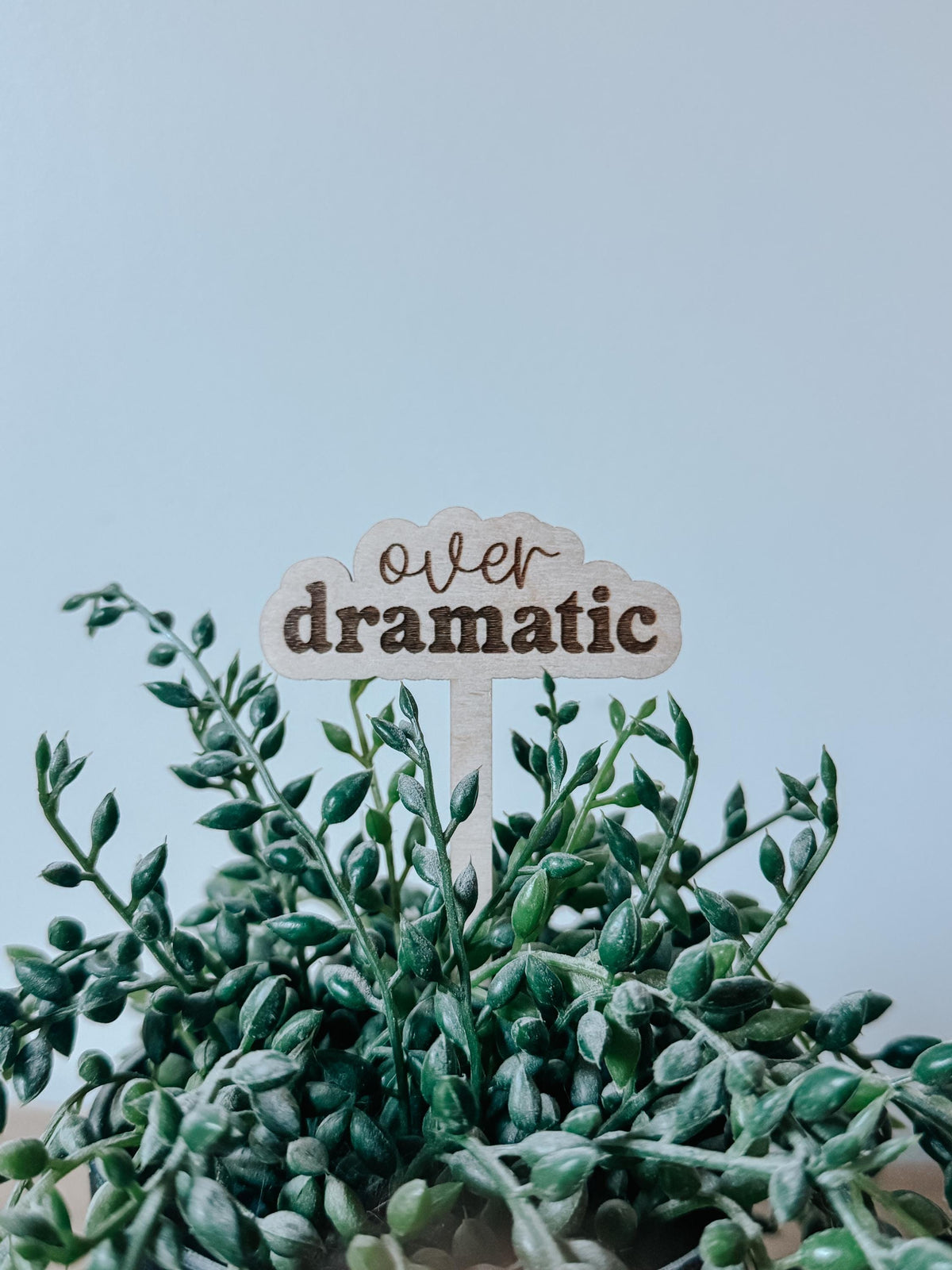 Funny Plant Stakes  Laser Cut Wood Plant Markers  Indoor Plant Decor  Housewarming Gift  Plant Lover Gift  Sassy Plant Signs