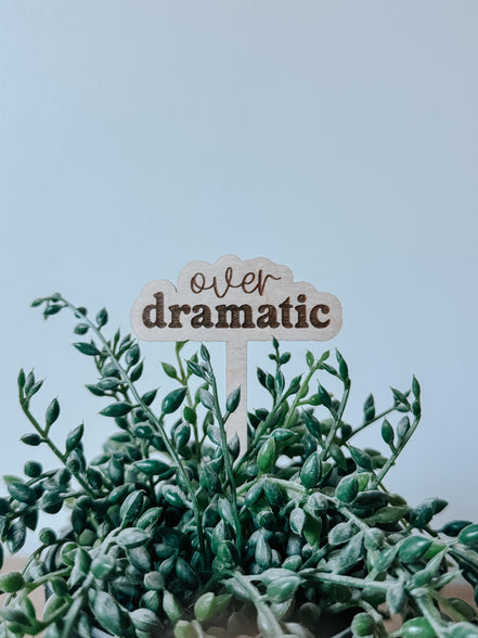 Funny Plant Stakes  Laser Cut Wood Plant Markers  Indoor Plant Decor  Housewarming Gift  Plant Lover Gift  Sassy Plant Signs