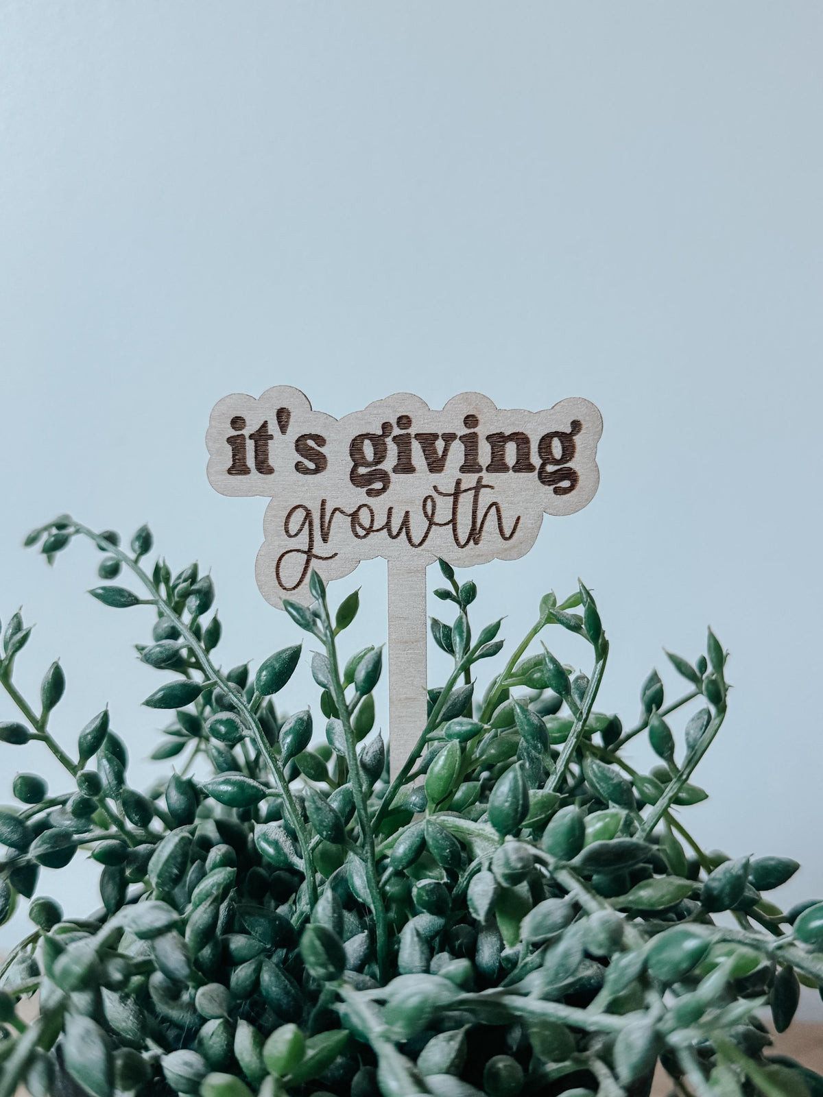 Funny Plant Stakes  Laser Cut Wood Plant Markers  Indoor Plant Decor  Housewarming Gift  Plant Lover Gift  Sassy Plant Signs