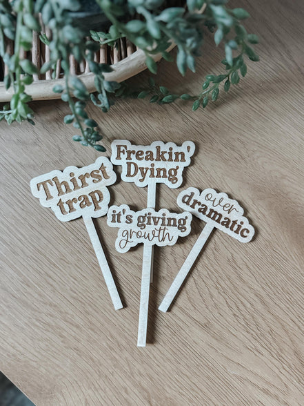 Funny Plant Stakes  Laser Cut Wood Plant Markers  Indoor Plant Decor  Housewarming Gift  Plant Lover Gift  Sassy Plant Signs