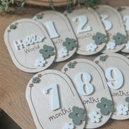 Laser Cut Baby Monthly Milestone Markers  3D Acrylic & Engraved Wooden Ovals | Custom Color Option | Hello World + Months 1-12