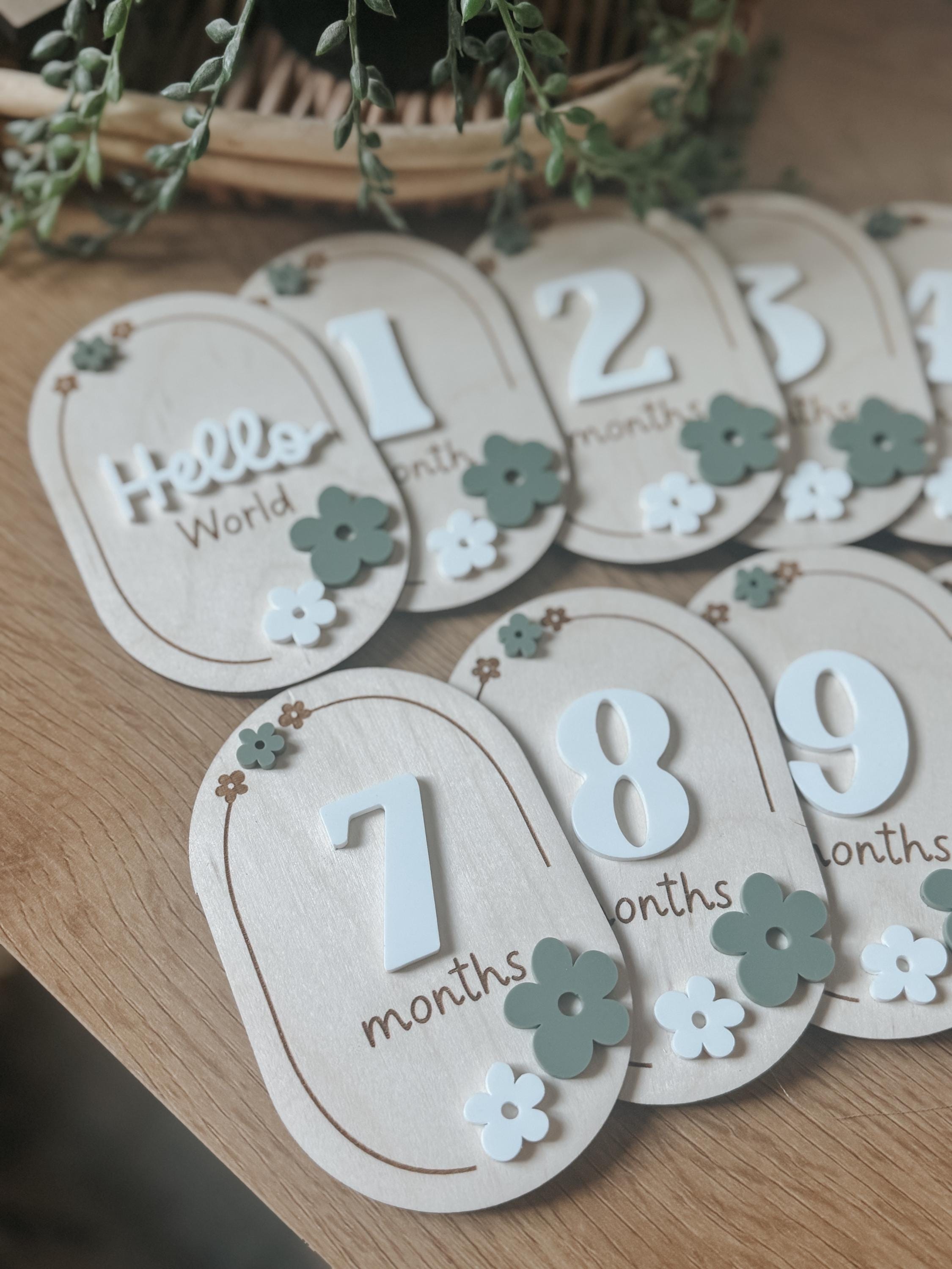 Laser Cut Baby Monthly Milestone Markers  3D Acrylic & Engraved Wooden Ovals | Custom Color Option | Hello World + Months 1-12