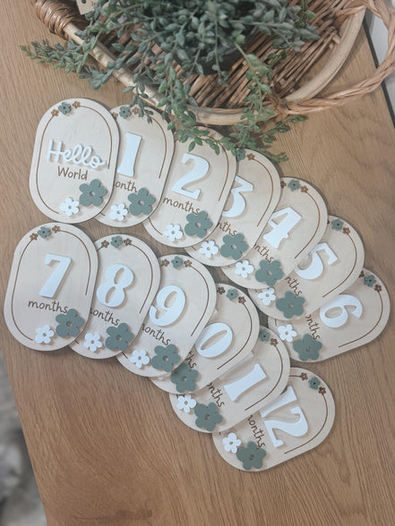 Laser Cut Baby Monthly Milestone Markers  3D Acrylic & Engraved Wooden Ovals | Custom Color Option | Hello World + Months 1-12