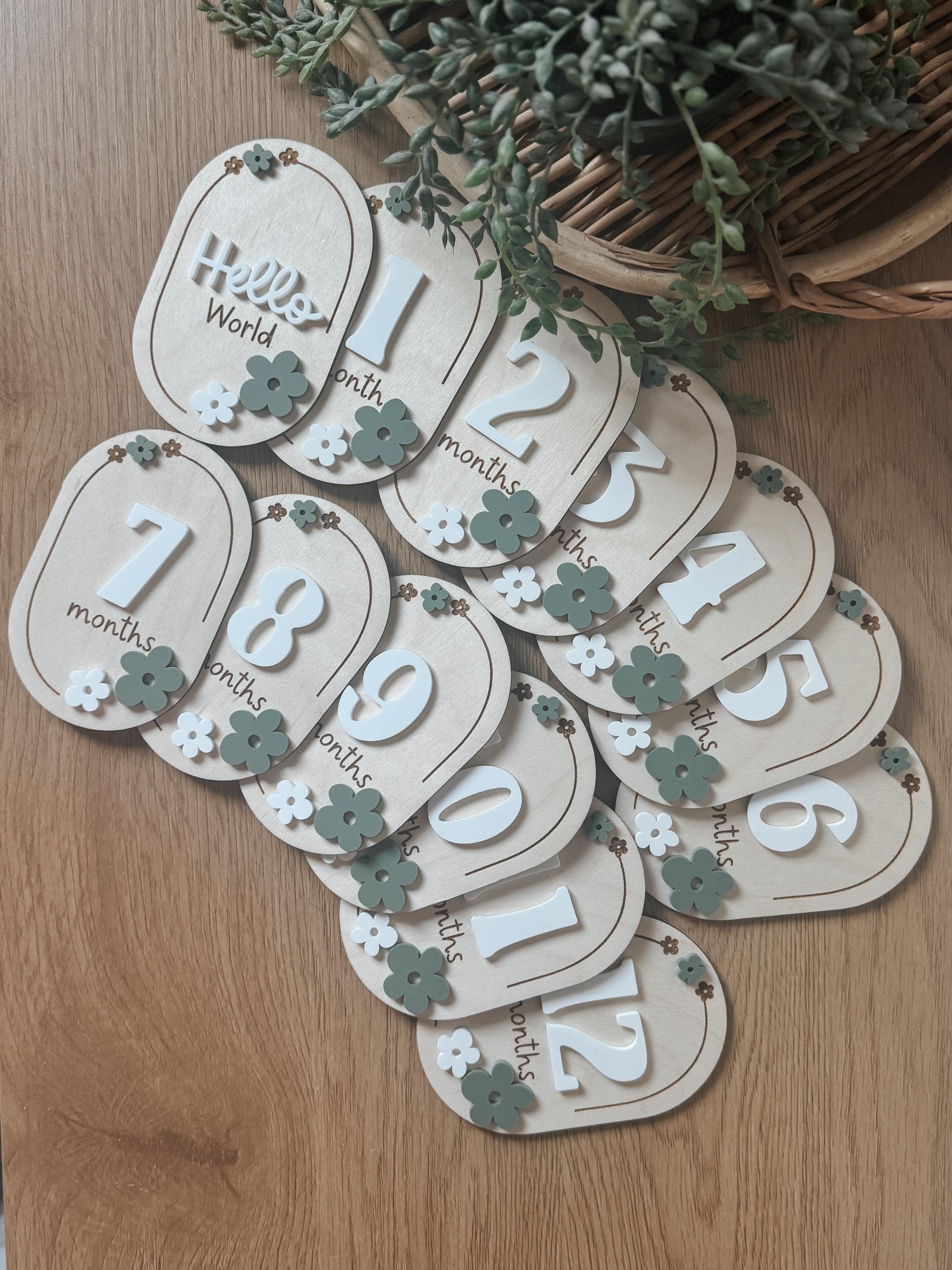 Laser Cut Baby Monthly Milestone Markers  3D Acrylic & Engraved Wooden Ovals | Custom Color Option | Hello World + Months 1-12
