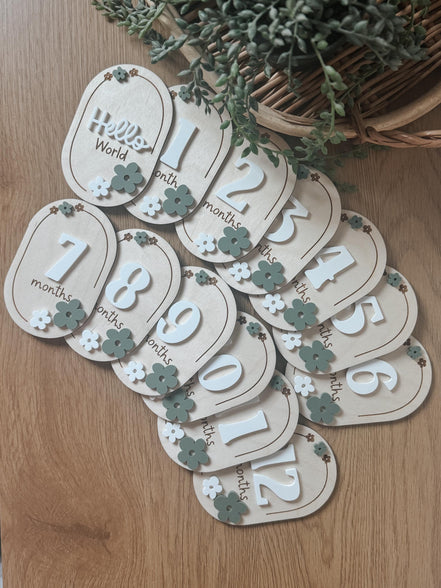 Laser Cut Baby Monthly Milestone Markers  3D Acrylic & Engraved Wooden Ovals | Custom Color Option | Hello World + Months 1-12