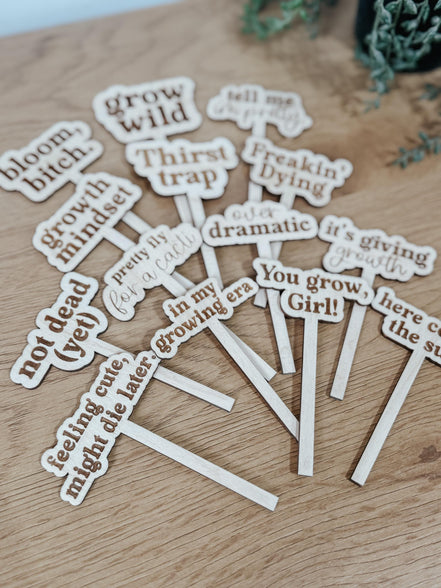 Funny Plant Stakes  Laser Cut Wood Plant Markers  Indoor Plant Decor  Housewarming Gift  Plant Lover Gift  Sassy Plant Signs