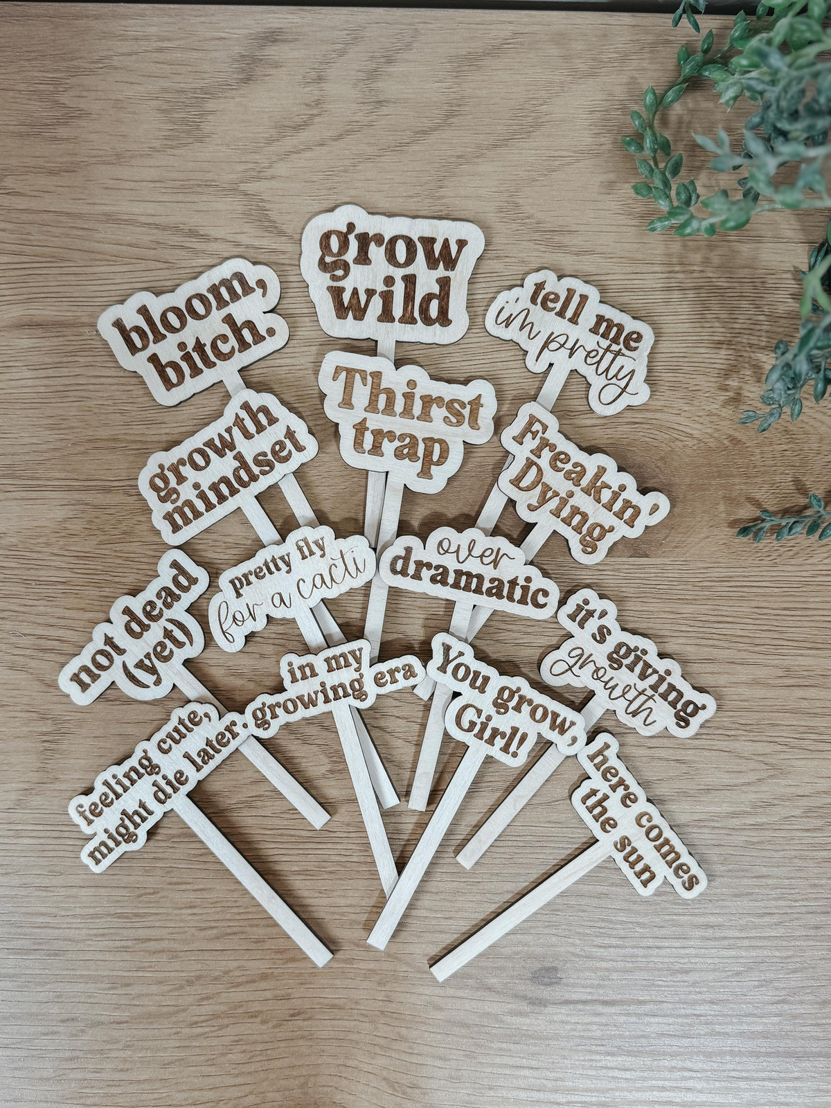 Funny Plant Stakes  Laser Cut Wood Plant Markers  Indoor Plant Decor  Housewarming Gift  Plant Lover Gift  Sassy Plant Signs