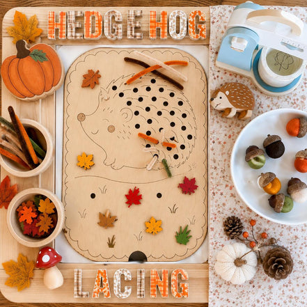 Hedgehog Sensory Bin Insert for IKEA Trofast | Montessori Fall Activity | Pipe Cleaner Fine Motor Toy | Autumn Sensory Table Insert